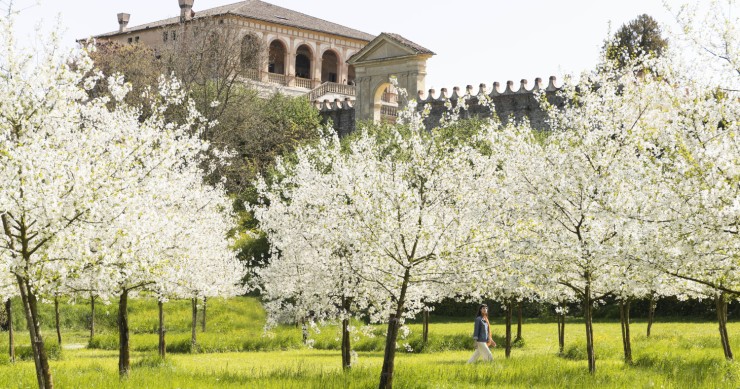 Villa dei Vescovi, Luvigliano di Torreglia (PD)