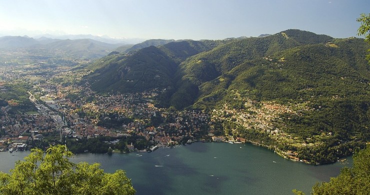 brunate