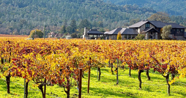 Il vino della California