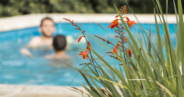 cheap property with a pool Italy