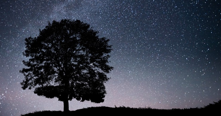 notte stellata