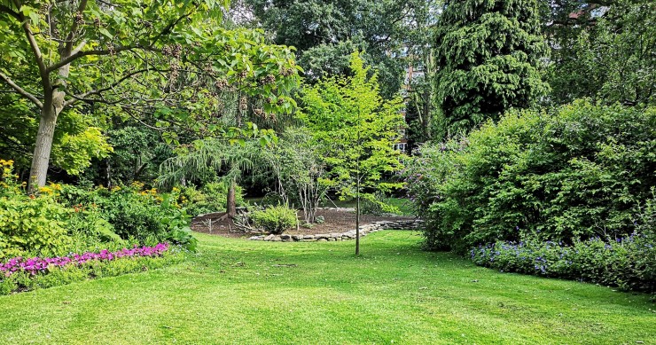 cattivo odore giardino