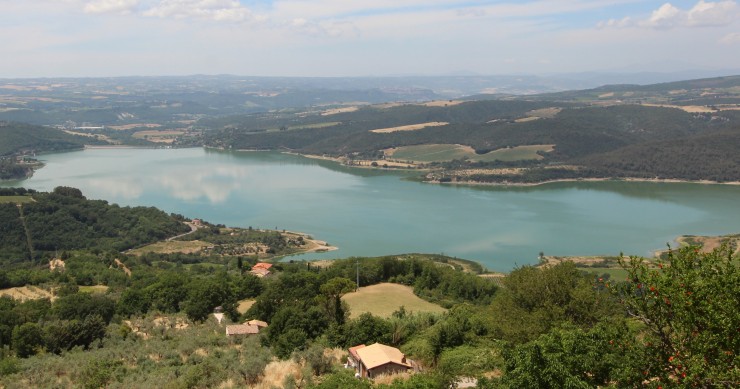 gole del forello