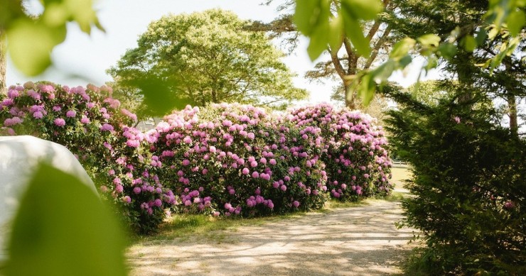 Il vialetto di un giardino