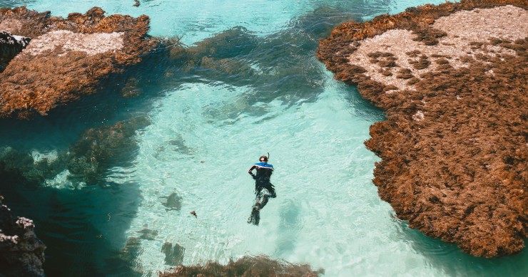 Snorkeling