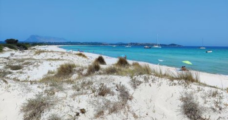 Sardegna, la spiaggia che sembra Tahiti: guida a Cala Brandinchi