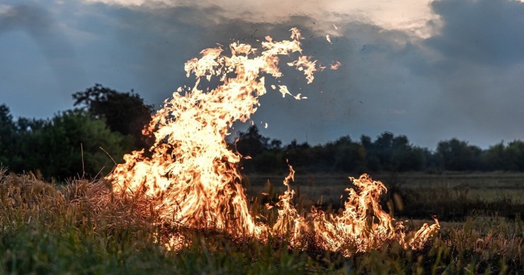 Un prato in fiamme
