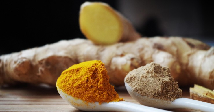 coltivare la curcuma