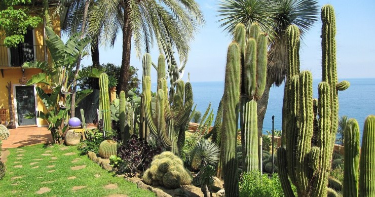 bordighera citta delle palme