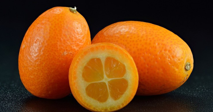 kumquat