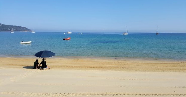 Fetovaia, i ‘Caraibi’ toscani dove sono nate tartarughe