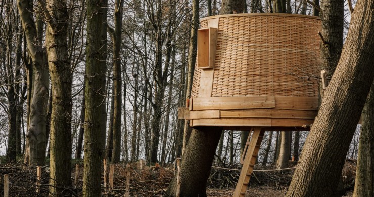 La casa sull'albero è stata costruita per la Biennale di Harewood del 2022 e si trova nella pittoresca campagna del West Yorkshire