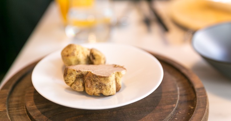 White Truffle Fair 2026 