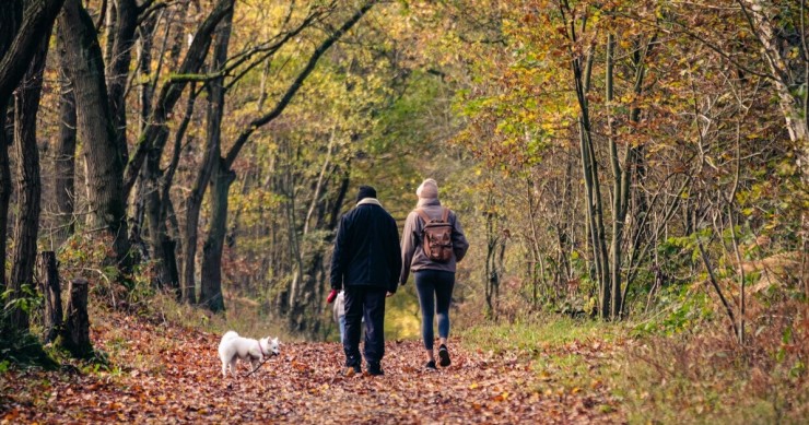 Una coppia con un cane bianco passeggia nel bosco