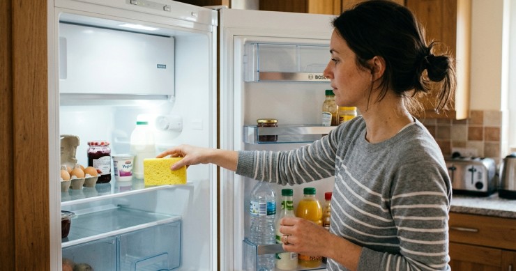 Spugna nel frigo