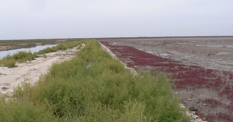 red beach china