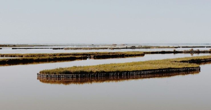 Lagosanto