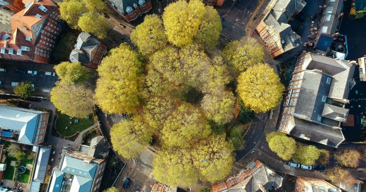 città con più alberi in Italia 