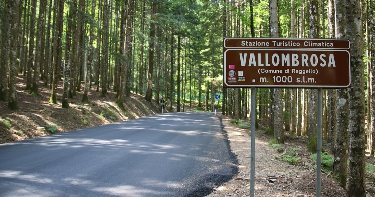 Vallombrosa