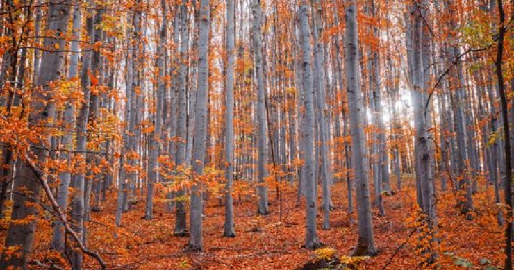 Cento Laghi d’autunno: quando andare e dove trovare i colori