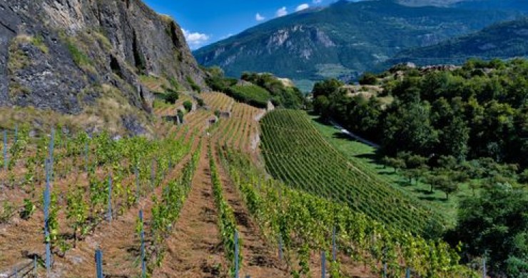 Vallese d’estate: cremagliera, terme a 51° e vini al tramonto