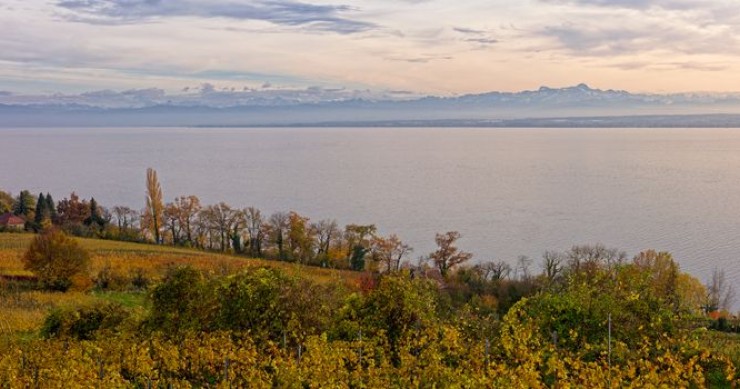 Ginevra d’autunno: vigne dorate, calici locali e musei imperdibili