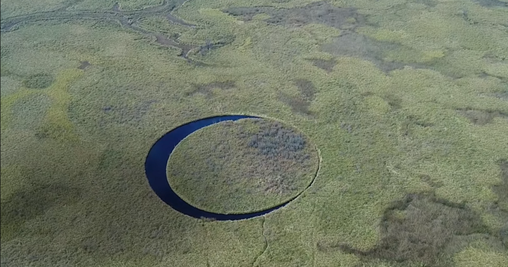 el ojo argentina