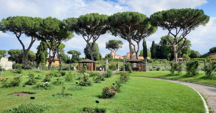 Uno scorcio di Roma con i suoi alberi 