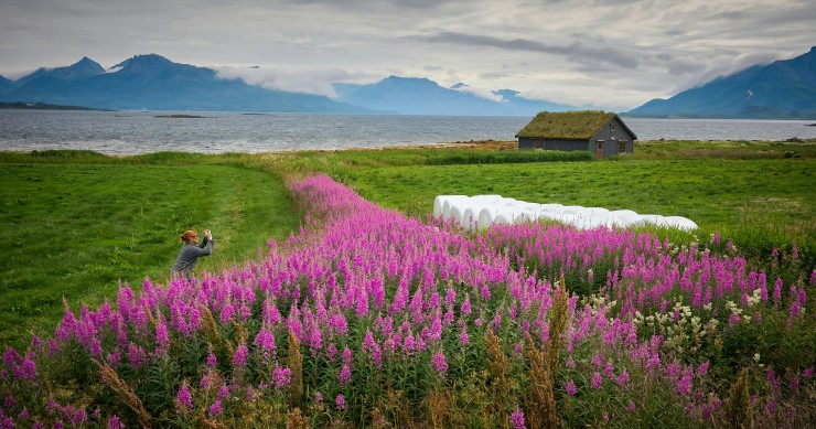 Vesterålen