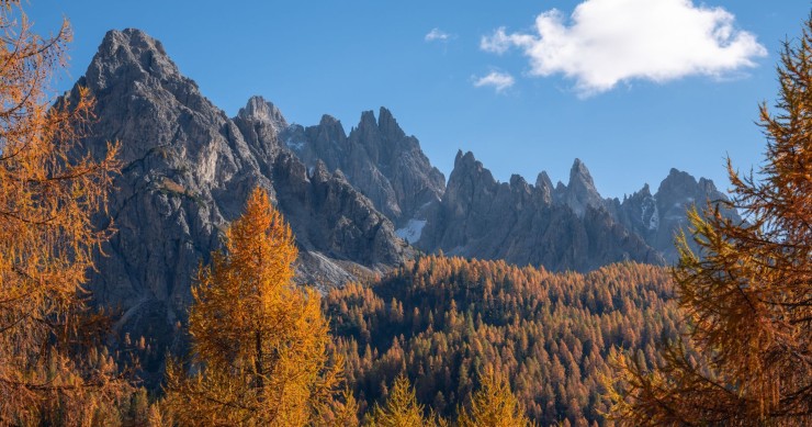 Autunno da vivere: 12 mete tra cervi, larici e calici