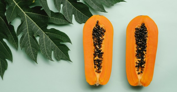 La papaya si può coltivare anche in Italia: ecco come avere i frutti in vaso