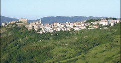 montazzoli2