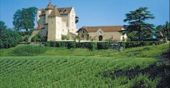 In vendita il castello di d'artagnan (foto)