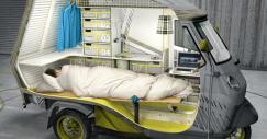 Evoluzione della specie, l'ape piaggio diventa una casa (galleria)