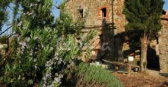 podere