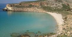 conigli_lampedusa