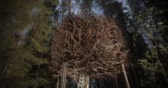 treehotel-birds-nest-1