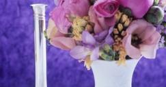fiori_gtres_a00541625_1078