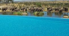 piscine_2