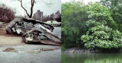 central_park_3