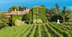 L'hotel affaccia sui vigneti della Franciacorta