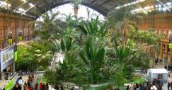 Il giardino della stazione di Atocha a Madrid