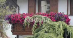 chalet_bormio_rentalia_3