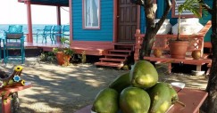 hotel_caraibi_4