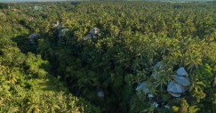Green Village si trova nella foresta di Ubud, un'isola di Bali
