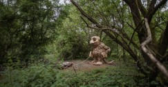 Nel mezzo di una foresta belga
