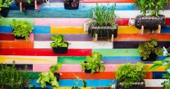 Come creare un orto in casa