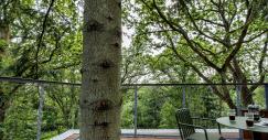 treetop-hotel-cabin-denmark_7