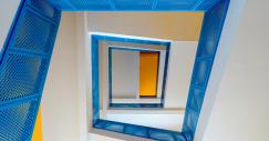 Azzurro e giallo i colori dominanti