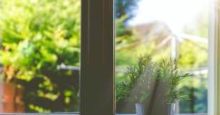 Come eliminare la condensa e l'umidità dalle finestre (e prevenirle)